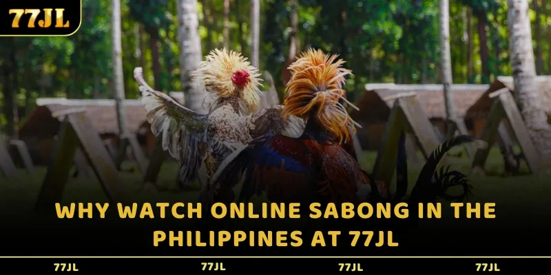Why watch online Sabong in the Philippines at 77JL?